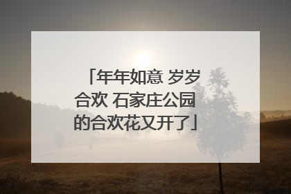 年年如意 岁岁合欢 石家庄公园的合欢花又开了
